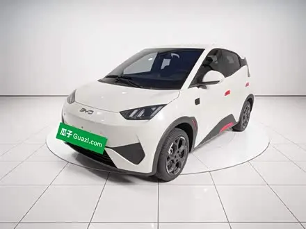 BYD SEAGULL — из Китая под ключ