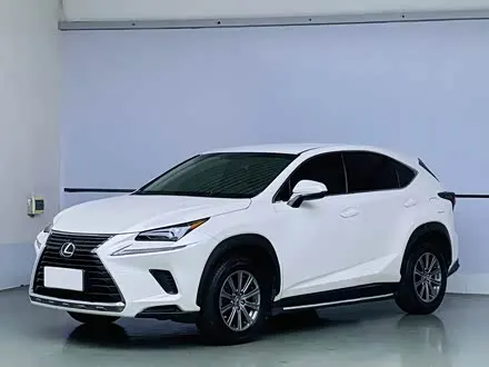 LEXUS NX — из Китая под ключ