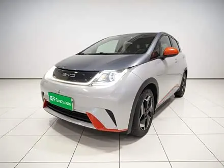 BYD DOLPHIN — из Китая под ключ