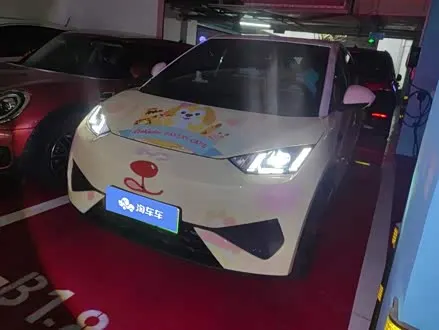 BYD SEAGULL — из Китая под ключ