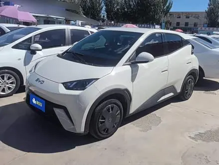 BYD SEAGULL — из Китая под ключ