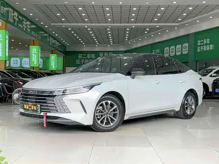 BYD DESTROYER 05 2024
