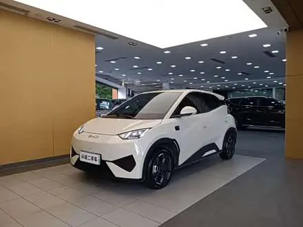 BYD SEAGULL — из Китая под ключ