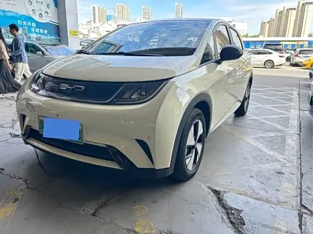 BYD DOLPHIN — из Китая под ключ