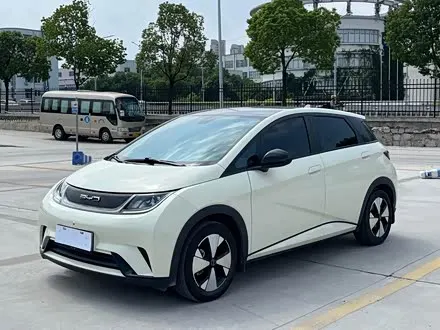 BYD DOLPHIN — из Кореи под ключ