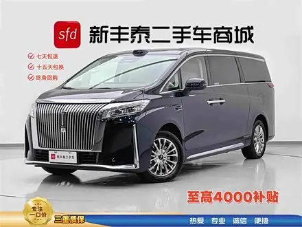WEY GAOSHAN 2025