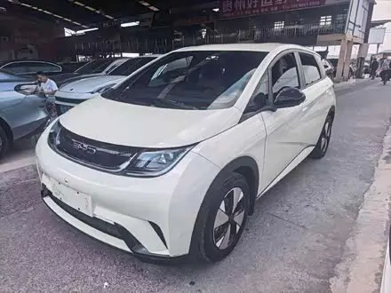 BYD DOLPHIN — из Кореи под ключ