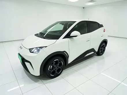 BYD SEAGULL — из Китая под ключ