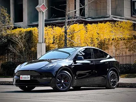 TESLA MODEL Y — из Китая под ключ