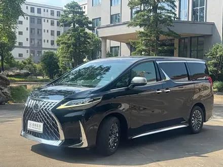 LEXUS LM 2020