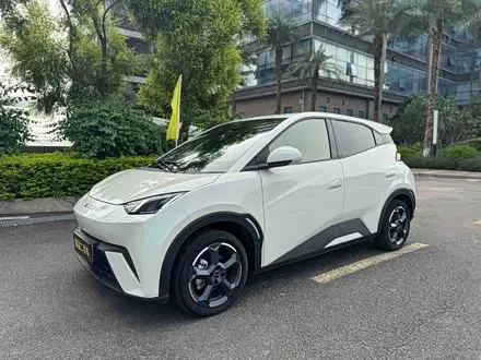 BYD SEAGULL — из Китая под ключ