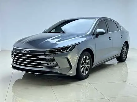 BYD DESTROYER 05 2024