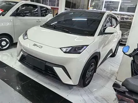 BYD SEAGULL — из Китая под ключ