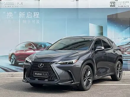 LEXUS NX — из Китая под ключ