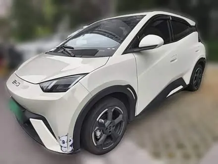 BYD SEAGULL — из Китая под ключ