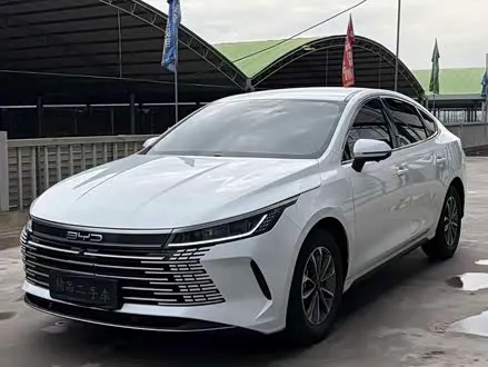 BYD DESTROYER 05 2024