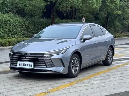 BYD DESTROYER 05 2024