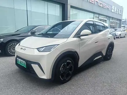 BYD SEAGULL 2024