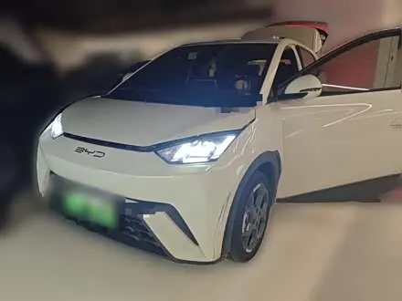 BYD SEAGULL — из Кореи под ключ