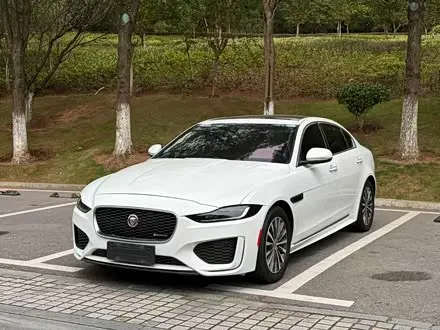 JAGUAR XEL 2020