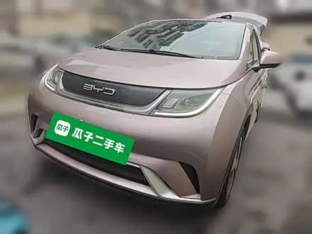 BYD DOLPHIN — из Кореи под ключ