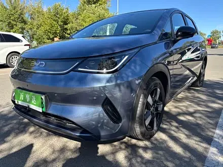 BYD DOLPHIN — из Китая под ключ