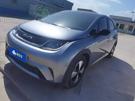 BYD DOLPHIN — из Кореи под ключ