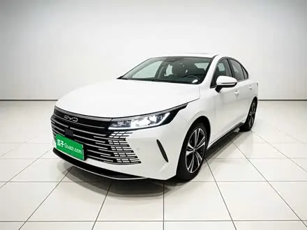 BYD DESTROYER 05 2022