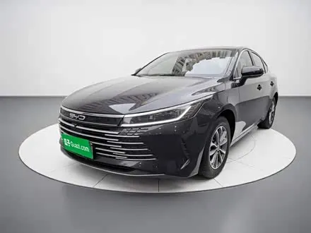 BYD DESTROYER 05 2024