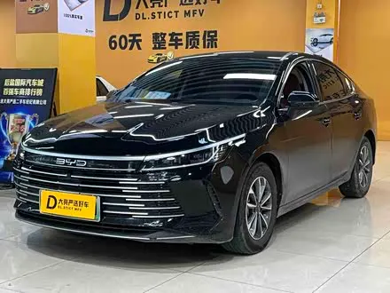 BYD DESTROYER 05 2024