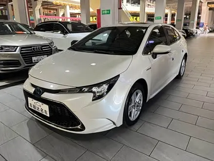 TOYOTA LEVIN 2019