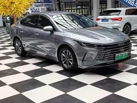 BYD DESTROYER 05 2024