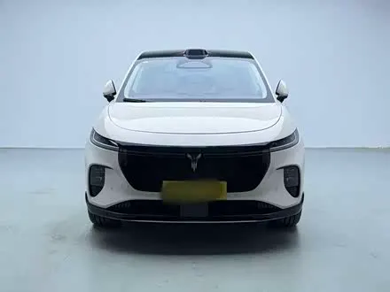 VOYAH ZHIYIN 2025