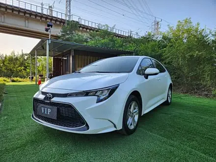 TOYOTA LEVIN — из Китая под ключ