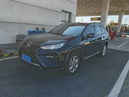 TOYOTA WILDLANDER 2022