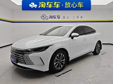 BYD DESTROYER 05 2024