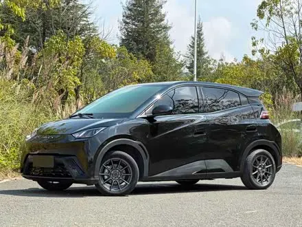 BYD SEAGULL 2023