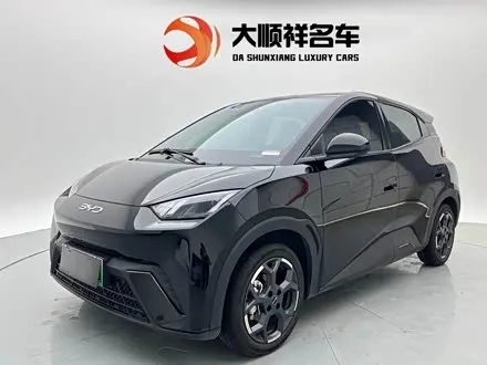 BYD SEAGULL 2025