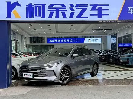 BYD DESTROYER 05 2024