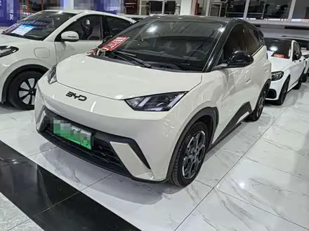 BYD SEAGULL 2025