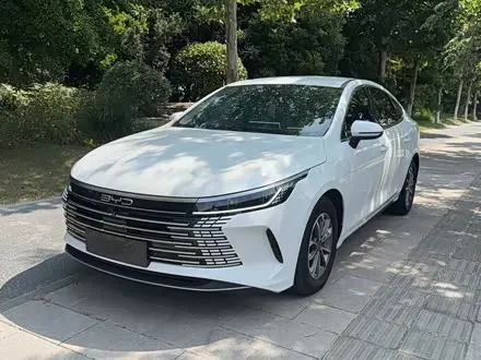 BYD DESTROYER 05 2023