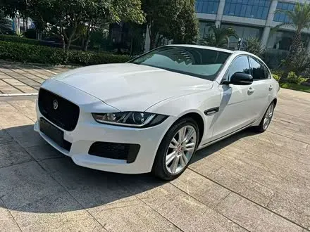 JAGUAR XEL 2019