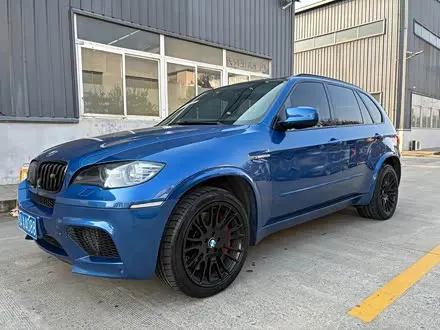 BMW X5 M 2010