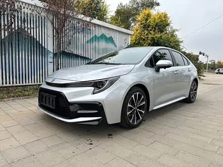 TOYOTA LEVIN 2023