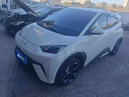 BYD SEAGULL 2025