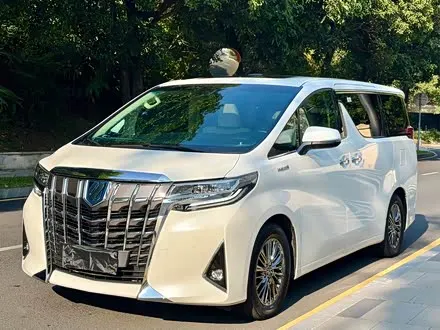 TOYOTA ALPHARD — из Китая под ключ