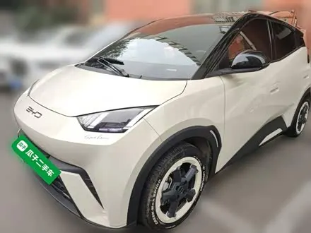 BYD SEAGULL — из Китая под ключ