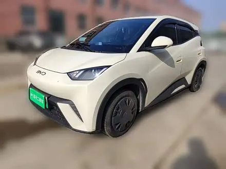 BYD SEAGULL 2025