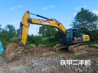 XCMG XE245DK — из Китая