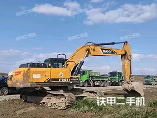 Sany SY245H — из Китая